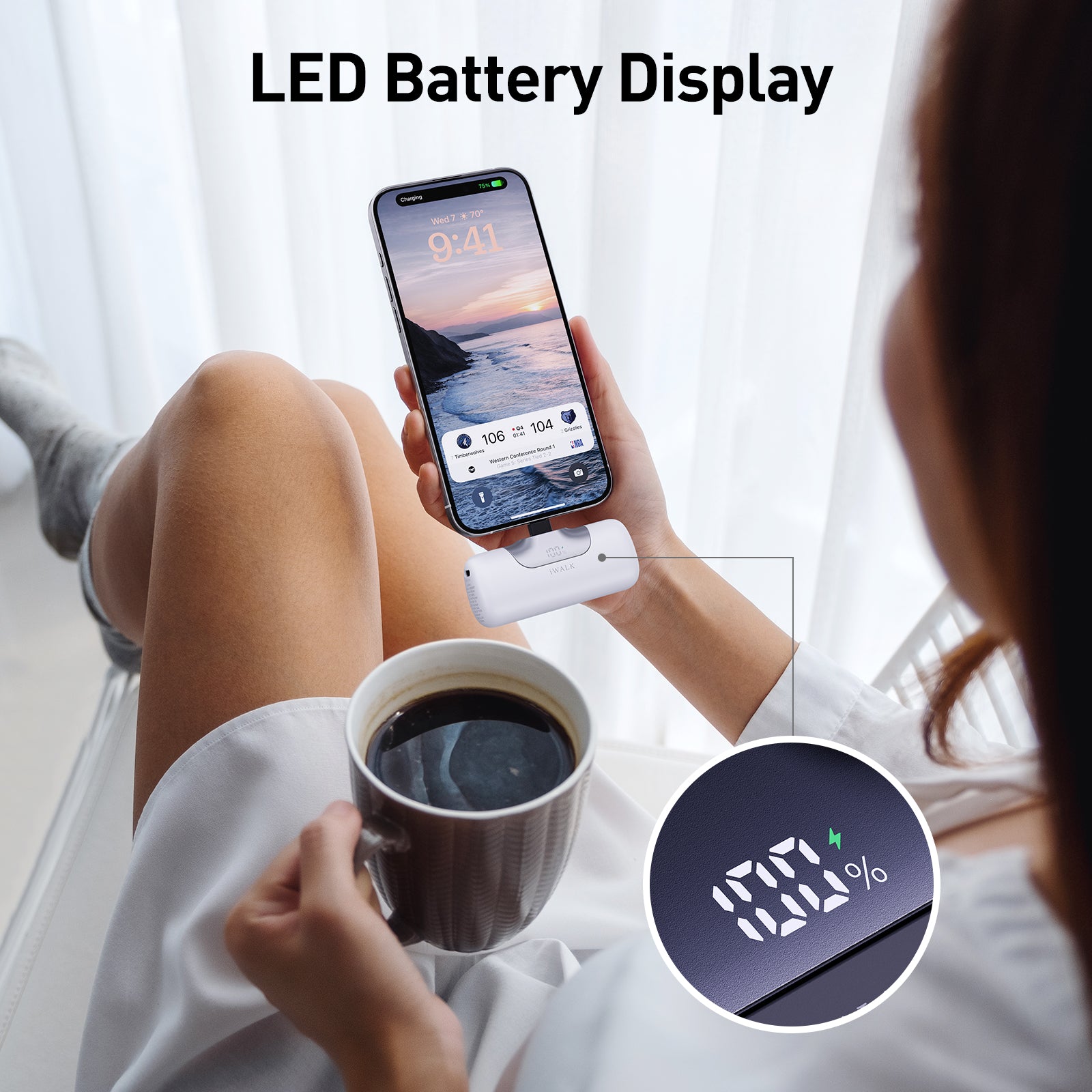 LED Battery Display